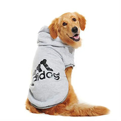 Cute golden retriever wearing an Adidog dog hoodie in gray with a comfortable fit