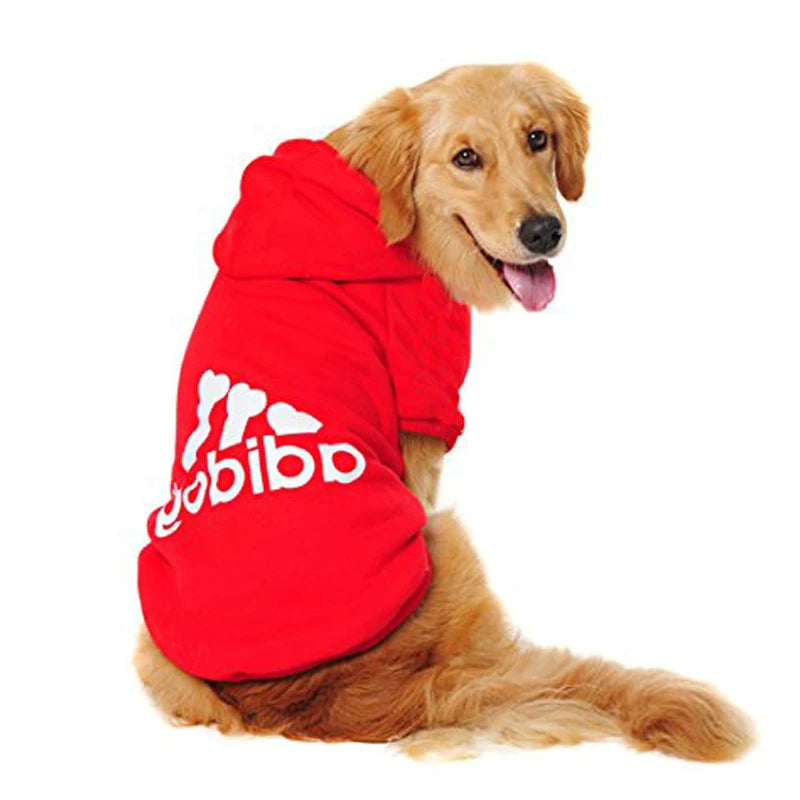 Golden Retriever wearing a red Adidog dog hoodie for stylish pet fashion