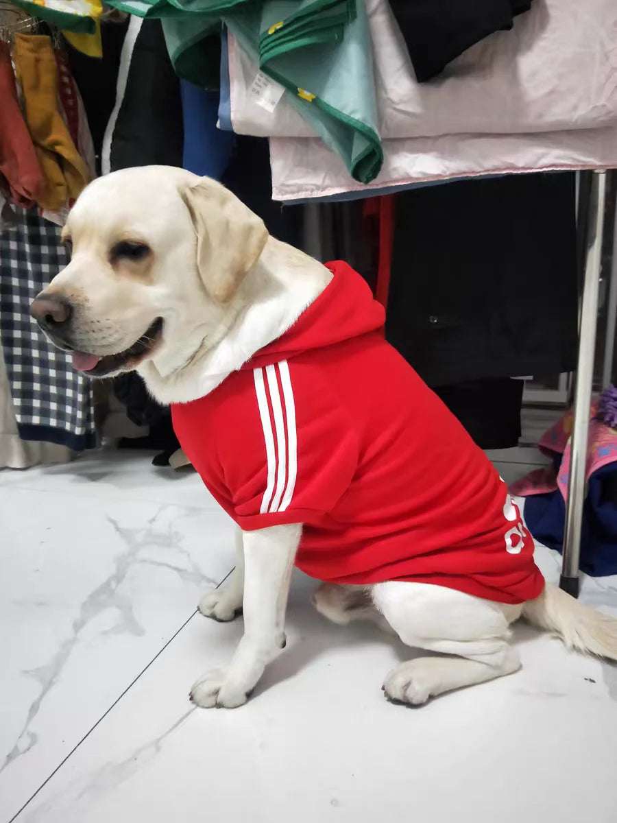 Labrador wearing a red Adidog dog hoodie with white stripes for stylish canine comfort