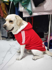 Labrador wearing a red Adidog dog hoodie with white stripes for stylish canine comfort
