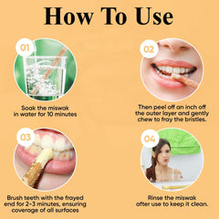 Sewak Al-Falah traditional toothbrush infographic showing soaking peeling chewing to fray brushing and rinsing instructions