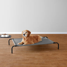 Cooling elevated dog bed with grey mesh top and dark frame, dog lying on it