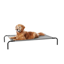 Cooling elevated dog bed on dark metal frame with grey mesh, dog resting