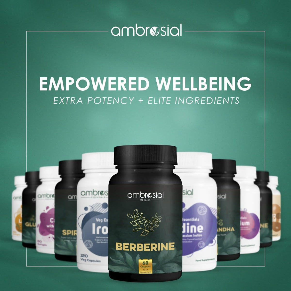AMBROSIAL berberine hcl 500mg supplement black bottle centered with other Ambrosial supplement bottles behind on green background