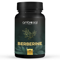 AMBROSIAL Berberine bottle of 60 capsules berberine hcl 500mg supplement herbal extract for metabolic support