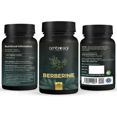 AMBROSIAL berberine hcl 500mg supplement bottle trio showing front label 60 capsules and nutritional facts