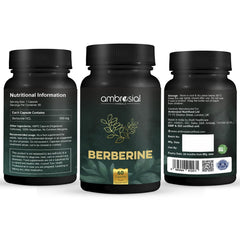 AMBROSIAL berberine hcl 500mg supplement bottle trio showing front label 60 capsules and nutritional facts