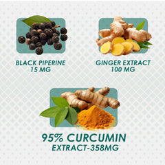 Infographic of turmeric roots and powder with black pepper and ginger extract curcumin supplement with piperine and ginger