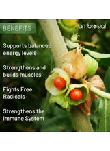 Ashwagandha supplement benefits graphic with herbs, energy, muscle and immune support