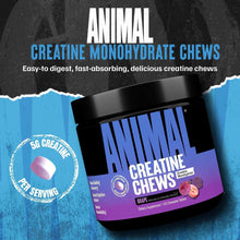 Animal creatine monohydrate chews jar with grape flavor and tablets