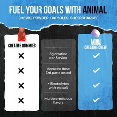 Animal creatine chews tablets comparison graphic showing benefits like 5g creatine per serving electrolytes and third party testing
