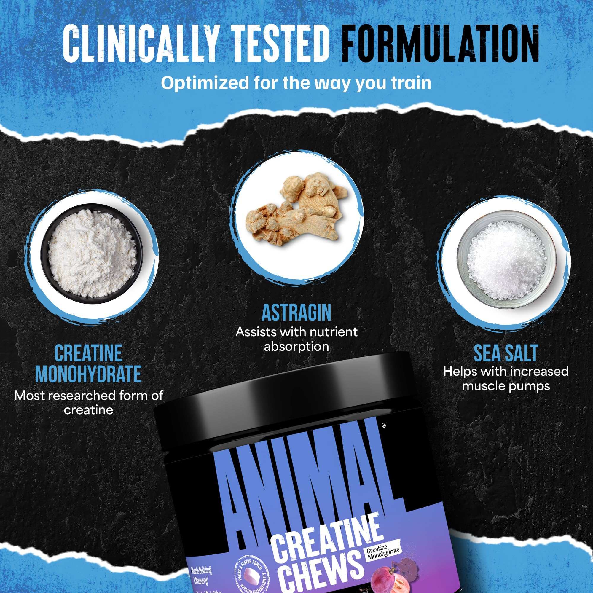 Animal creatine chews tablets jar with label and ingredient bowls showing creatine monohydrate astragin and sea salt