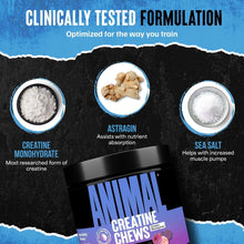 Animal creatine chews jar with ingredient powder bowls and label callouts