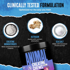 Animal creatine chews tablets jar with label and ingredient bowls showing creatine monohydrate astragin and sea salt