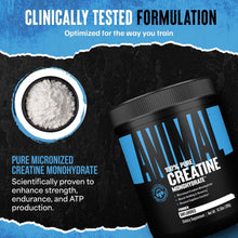 Creatine monohydrate powder scoop and 100% pure supplement container