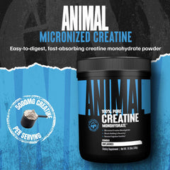 Animal micronized creatine monohydrate supplement black and blue tub with scoop and 5000mg per serving label
