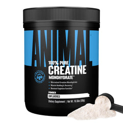 Animal brand black tub of unflavored creatine powder with scoop micronized creatine monohydrate supplement