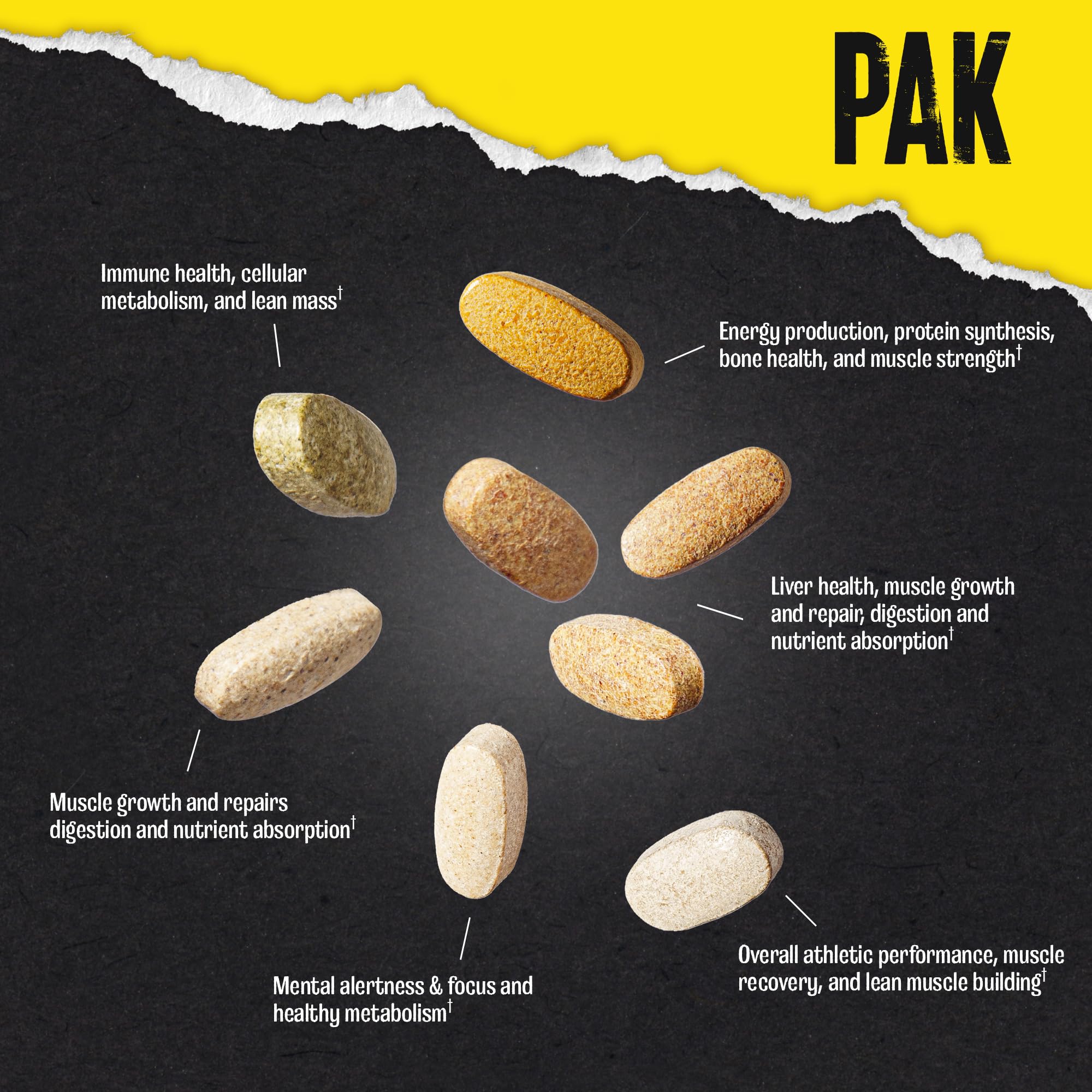Animal Pak multivitamin UAE showing various capsules for immune and muscle health benefits