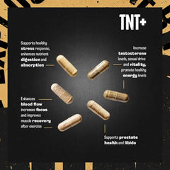Animal TNT capsules arranged with benefit callouts highlighting energy libido recovery and testosterone booster for men
