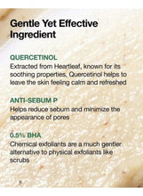 Ingredient panel for Quercetinol cleanser with anti-sebum help and 0.5% BHA