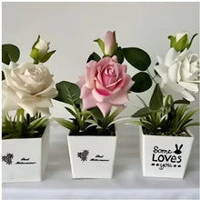 Artificial rose potted plants in three white containers: white and pink blooms
