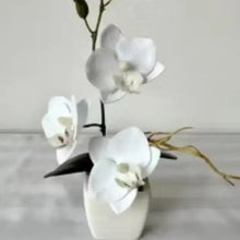 White artificial flowers in pot with white blossoms and dark stems