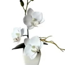 White artificial flowers in small pot with branching stems and blossoms