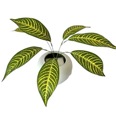 Huitich artificial green plant pack with vibrant patterned leaves in a white pot for home decor