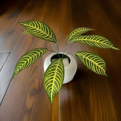 Huitich artificial green plant pack with vibrant green and yellow striped leaves in a white pot
