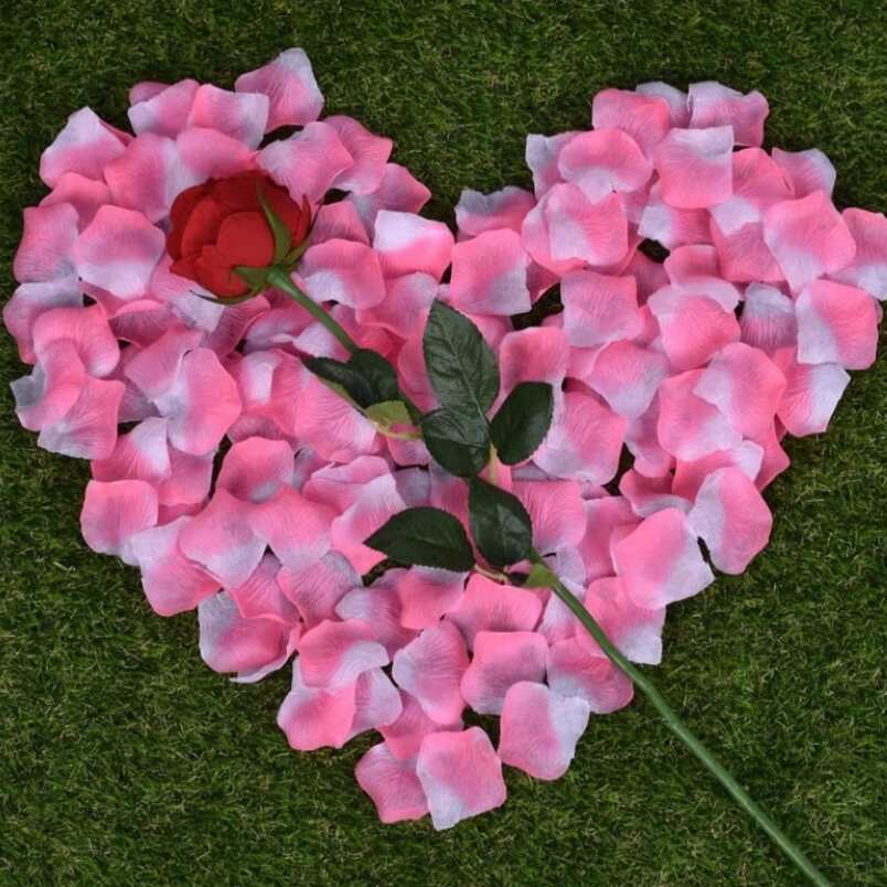 Heart shape made of artificial pink rose petals with a single red artificial rose on green grass background