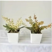 Artificial bonsai plants with yellow-green branches in two white square pots