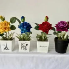 Artificial rose potted plants set with yellow, blue, red, and purple blooms in pots
