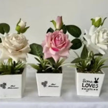 Artificial rose potted plants with pink and white rose blooms in white square pots
