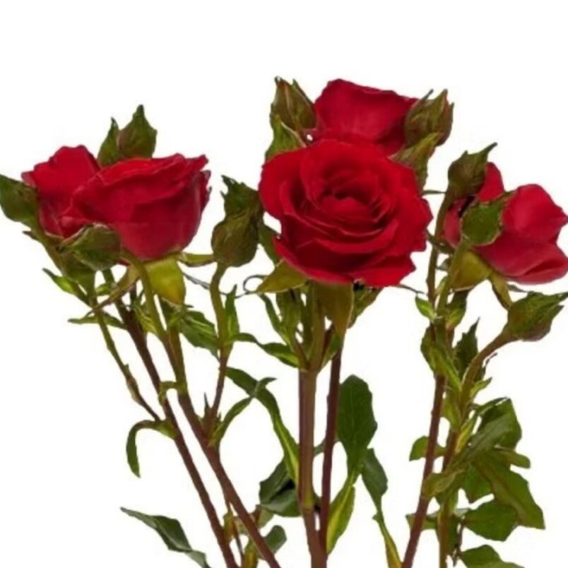 Huitich artificial red rose spray with vibrant red petals and green leaves for decorative use