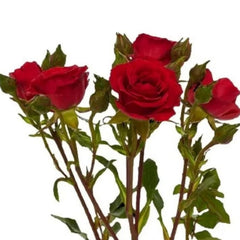 Huitich artificial red rose spray with vibrant red petals and green leaves for decorative use