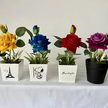 Artificial rose potted plants in white and black containers with yellow, blue, red, purple blooms
