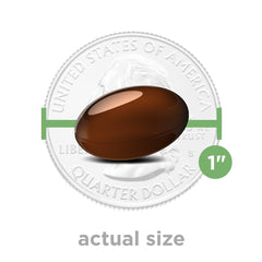 PreserVision AREDS 2 eye vitamins softgel shown actual size over US quarter with 1 inch comparison