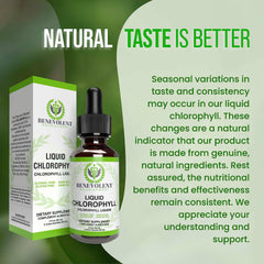 Benevolent Nourishment liquid chlorophyll bottle and box on green background with taste is better chlorophyll liquid drops UAE