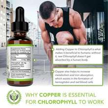 Liquid chlorophyll supplement bottle with dropper and supplement facts panel