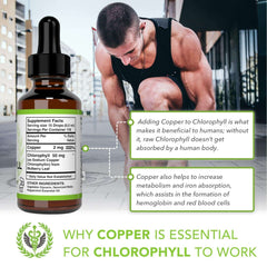 Benevolent Nourishment chlorophyll liquid drops UAE bottle with dropper beside fitness athlete and copper benefits graphic