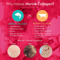 Infographic comparing marine and bovine collagen benefits for skin hair nails bioglan collagen effervescent tablets