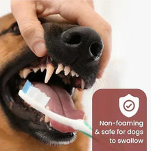 Dog mouth with toothbrush coated in non-foaming toothpaste for swallowing