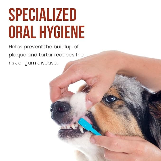 Bioline beef flavor dog toothpaste for specialized oral hygiene and plaque prevention