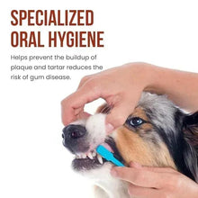Dog being brushed with toothpaste using a small blue-handled toothbrush