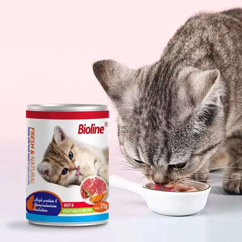 Bioline canned cat food beef and vegetables served in a bowl with a cat enjoying the meal