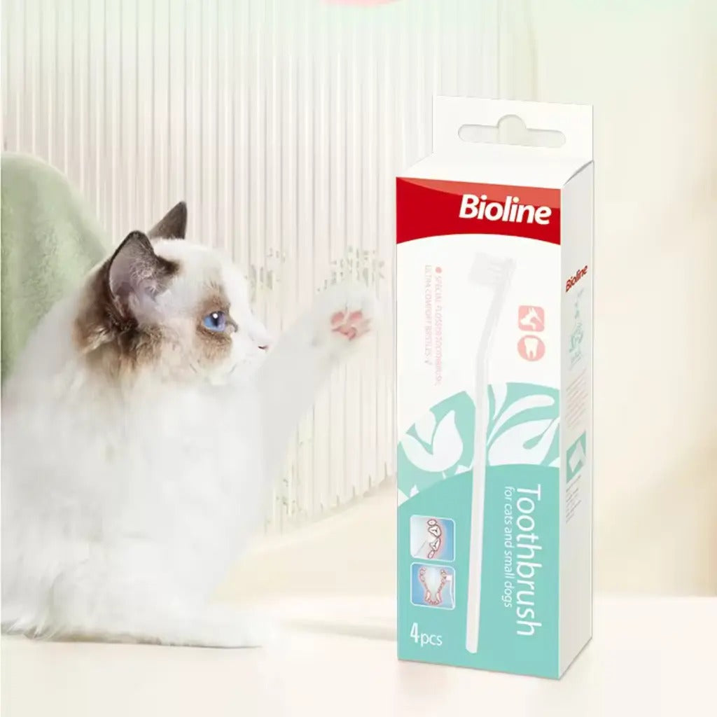 Bioline cat and puppy toothbrush set in packaging for pet dental care with four brushes