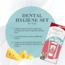 Dental hygiene set for cats card with toothpaste tube and two toothbrushes shown