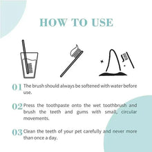 Dental hygiene set for cats how-to-use guide with brush and step icons