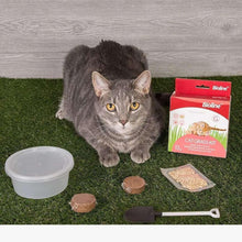 Bioline cat grass kit with cat, small box, scoop, and grass seeds