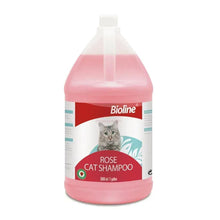Bioline rose cat shampoo bottle, 3.8L, pink liquid, pump cap